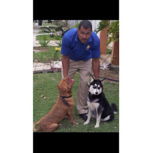 Meet your Posher, Jose